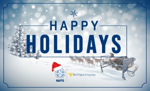 Christmas_Light_BG_PropaneTrainer2